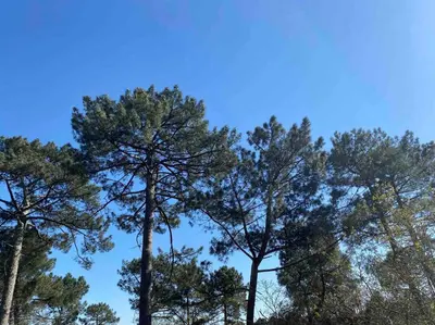 Paysage naturel près de l'appartement