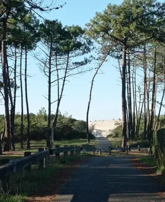 Paysage naturel près de l'appartement
