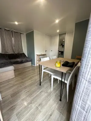Coin salon dans l'établissement Mobil-home