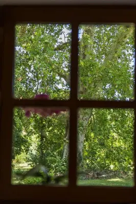 Jardin de l'établissement Gite du platane