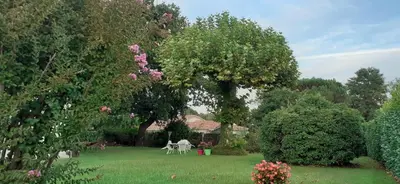 Jardin de l'établissement Maison abelia