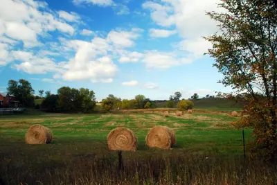 Paysage naturel près de la maison de vacances