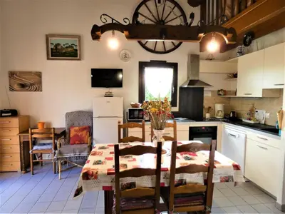 Cuisine ou kitchenette dans l'établissement Aurus ii