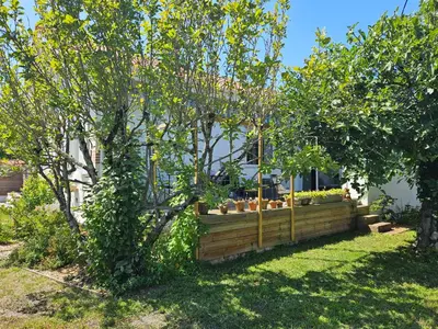 Jardin de l'établissement Maison de ville avec piscine