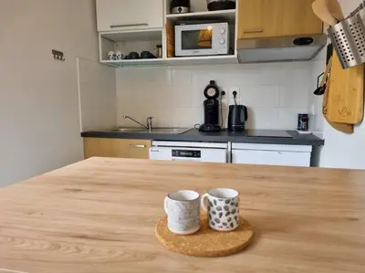 Cuisine ou kitchenette dans l'établissement La Cabane Océan 10 min a pied de Mimizan plage Forêt