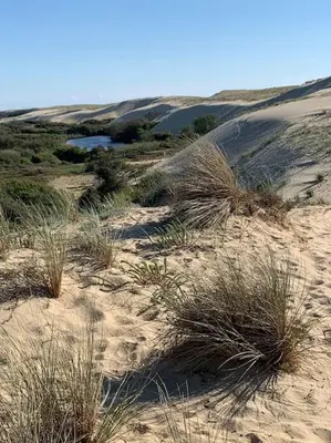 Paysage naturel près de la maison de vacances