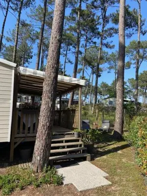 Jardin de l'établissement Charmant Mobilhome avec espace vert au milieu des pins proche de la plage sur le camping 