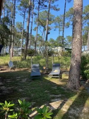 Jardin de l'établissement Charmant Mobilhome avec espace vert au milieu des pins proche de la plage sur le camping 