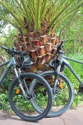 Vélo sur le terrain de l'établissement Riad Landais ou dans les environs