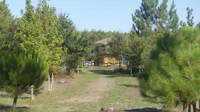 Jardin de l'établissement A BIAS Chalet 4 à 6 Personnes Entièrement Climatisé Chargeur VE 7kw-Wifi-Balnéo et Piscine
