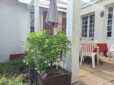Jardin de l'établissement Maysou de Noé