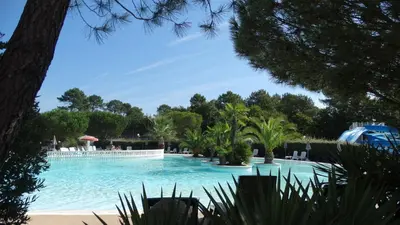 Piscine de l'établissement Chalet Bassin d'Arcachon ou située à proximité