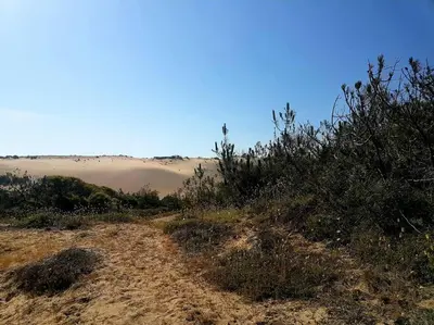 Paysage naturel près de la maison de vacances