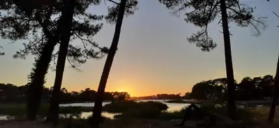 Paysage naturel près de l'appartement