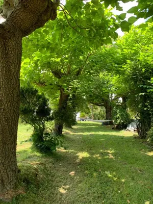 Jardin de l'établissement Gîte La Louisiane