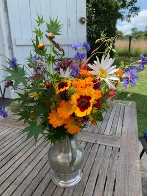 Jardin de l'établissement Gîte La Louisiane