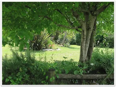 Jardin de l'établissement Villa de charme 