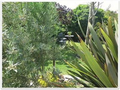 Jardin de l'établissement Villa de charme 