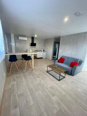 Cuisine ou kitchenette dans l'établissement Appartement - location saisonnière
