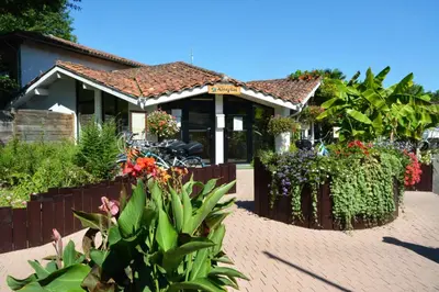 Jardin de l'établissement Mobil Home XXL 4 chambres - Camping Le Sen Yan