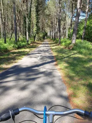 Vélo sur le terrain de l'établissement Maison récent proche du lac de Léon et de l'Océan ou dans les environs