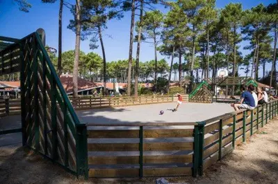 Aire de jeux pour enfants de l'établissement Mobil home 4/6 personnes