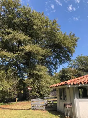 Jardin de l'établissement La petite maison au chêne