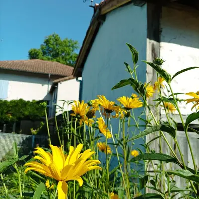 Jardin de l'établissement Chambres d'hôtes Villa Lortin