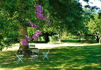 Jardin de l'établissement Chambres d'hôtes Villa Lortin