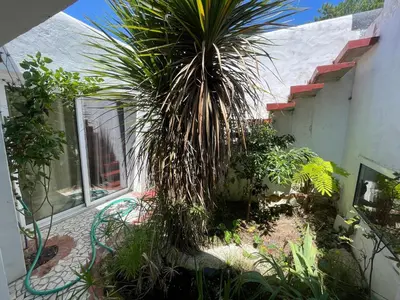 Jardin de l'établissement La Casba 15 mm plage Contis