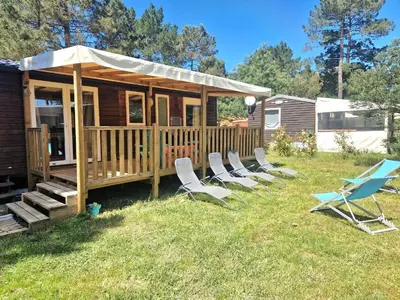 Jardin de l'établissement Mobilhome Labenne Océan
