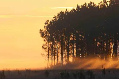 Lever ou coucher de soleil vu de la maison de vacances ou à proximité