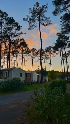 Paysage naturel près de le camping