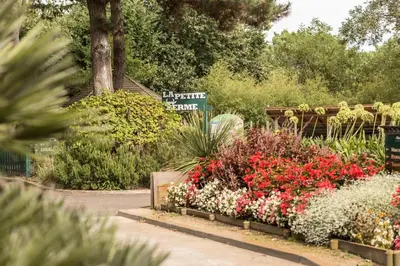 Jardin de l'établissement Village Moliets - maeva Home - Appartement 2 pièces 4 personnes - Confort MAE-6784