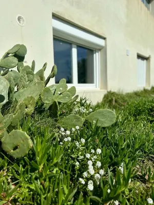 Jardin de l'établissement La Gravière, Cozy Studio Wifi & Parking 20M Océan Surf Plage