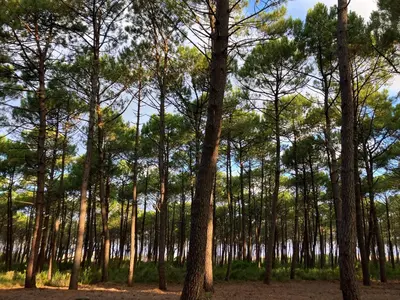 Paysage naturel près de la maison de vacances