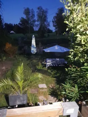 Jardin de l'établissement séjour au pays des Béarn