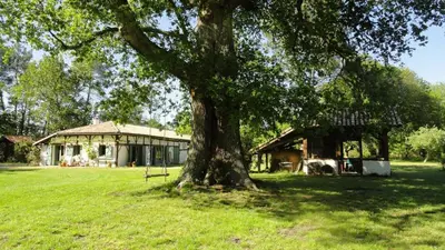 Jardin de l'établissement Le gite de marquin