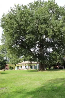 Jardin de l'établissement Le gite de marquin