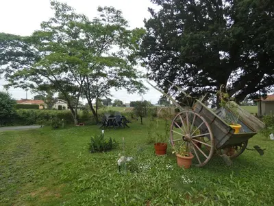Jardin de l'établissement Gite aux fleurs