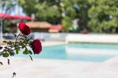 Piscine de l'établissement Safranerio ou située à proximité