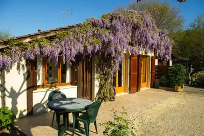 Jardin de l'établissement Gite de la mousque