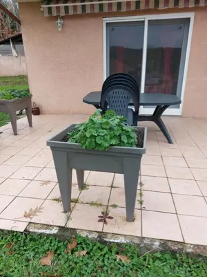 Jardin de l'établissement Grande maison sur 2000m° de terrain