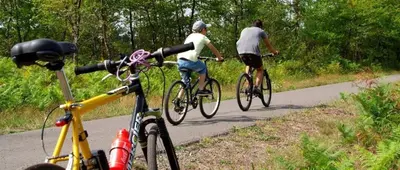 Vélo sur le terrain de l'établissement ZEcamping 4 familial animaux acceptés familial piscine couverte ou dans les environs