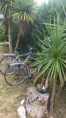 Vélo sur le terrain de l'établissement Studio Repos Nature et Beauregard ou dans les environs