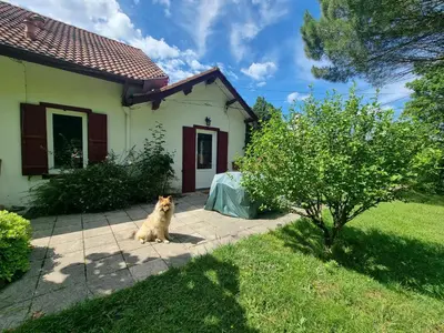Animal ou animaux domestique(s) séjournant avec des clients dans l'établissement Maison vacances les fougères