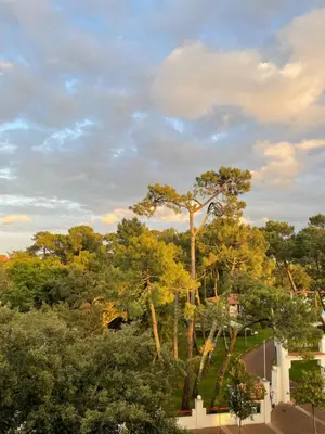 Jardin de l'établissement Tao Le Sporting