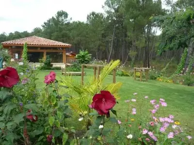 Jardin de l'établissement ZEcamping 4 animé chiens acceptés familial piscine couverte