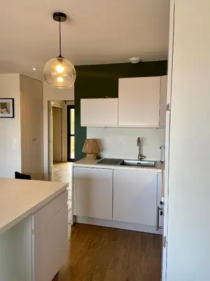 Cuisine ou kitchenette dans l'établissement Vue Océan - Au Coeur de Contis Plage