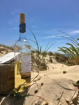 Boissons dans l'établissement Vue Océan - Au Coeur de Contis Plage